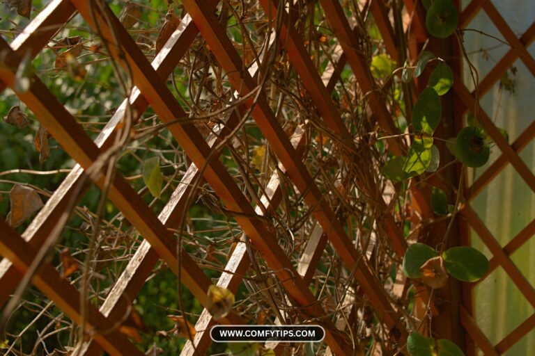 21 Garden Lattice Ideas That Instantly Upgrade Privacy, Climbing Plants, and Curb Appeal