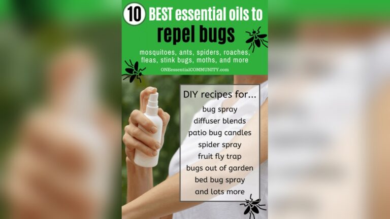 10 Mosquito Repellent Ideas: Effective Tips to Stay Bite-Free