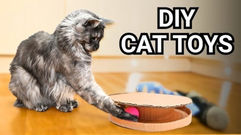 16 DIY Cat Scratcher Ideas Your Cats Will Love: Creative & Fun