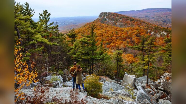 17 Garden Seating Ideas That’Ll Make You Want to Stay Outside Forever: Cozy & Stylish Spots