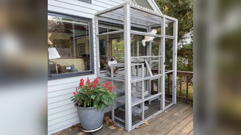 18 Creative DIY Greenhouse Ideas: Transform Your Garden Today