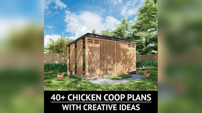18 DIY Chicken Run Cheap Ideas: Easy, Affordable & Brilliant Designs