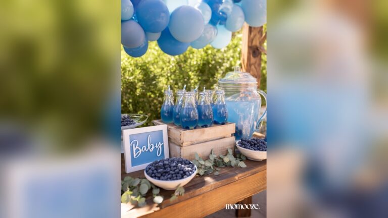19 Blueberry Baby Shower Theme Ideas: Charming & Creative Inspirations