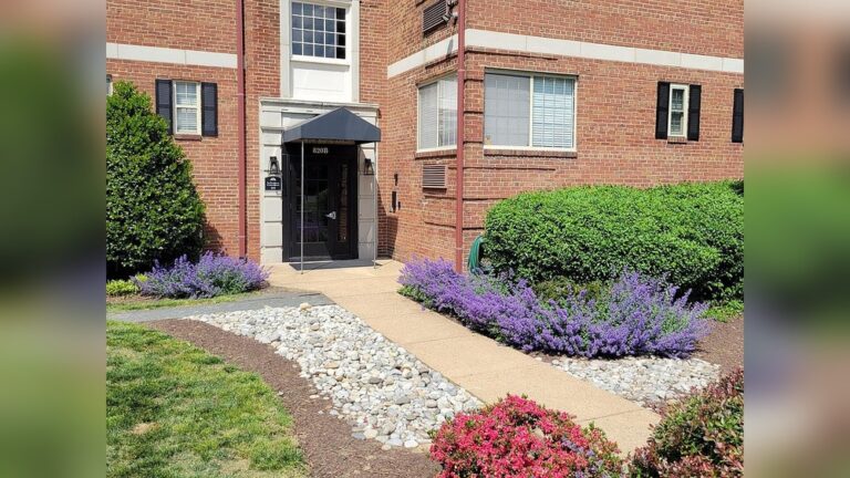 19 Front Garden Ideas UK: Stunning Designs to Transform Your Home