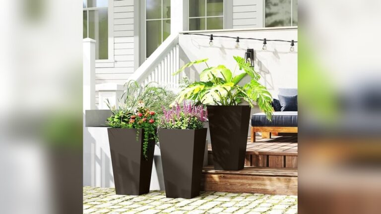 19 Potted Flowers for Patio Ideas: Stunning Blooms to Transform Your Space
