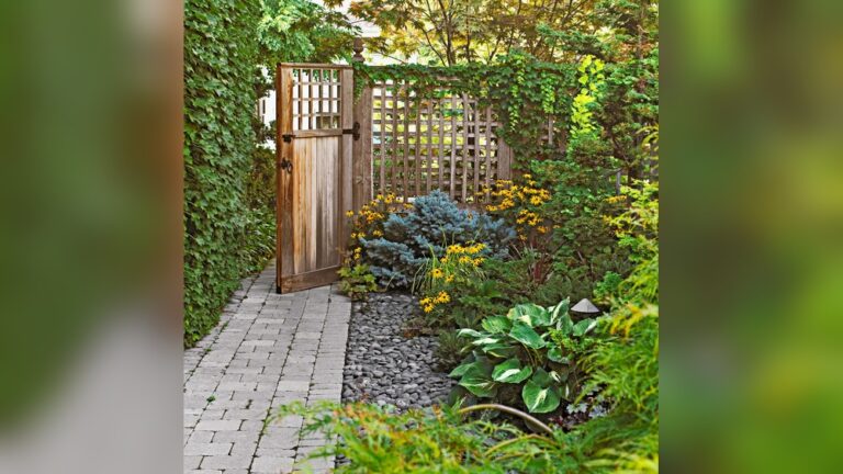 20 Garden Borders: Transform Your Garden With Style And Function Today!
