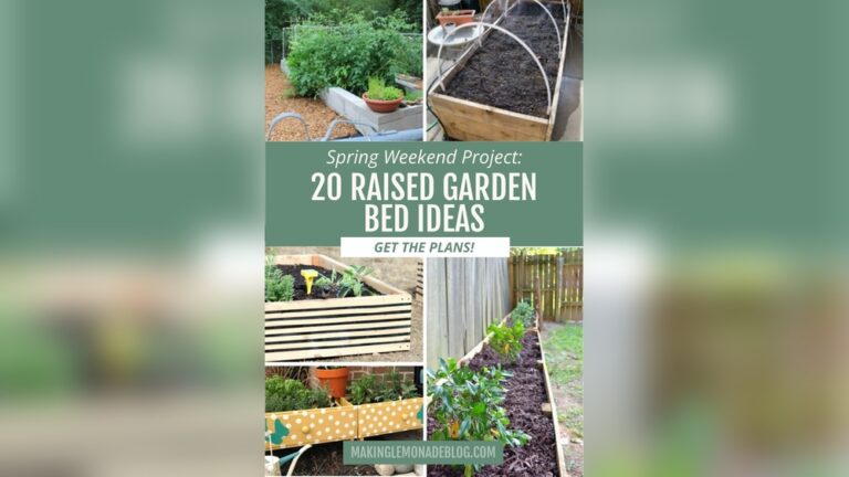 20 Raised Garden Beds DIY Ideas: Creative & Easy Projects