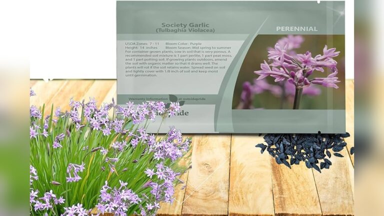 22 Florida Landscaping Ideas for a Vibrant Resilient Yard: Stunning Transformations