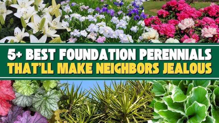 22 Front Yard Landscaping Ideas That’Ll Make Your Neighbors Green With Envy! Stunning Designs