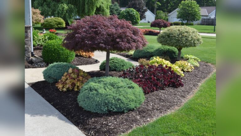 23 Landscaping Front Yard Ideas: Transform Your Home’s Curb Appeal