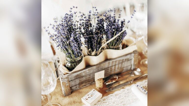 23 Summer Hair Color Ideas You’Ll Absolutely Love: Stunning Shades