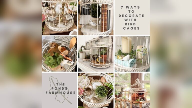 23 Unique Bird Cage Decor Ideas: Stunning Styles to Transform Your Space
