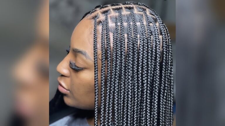 25 Box Braids Hairstyles Ideas: Stunning Looks to Transform You
