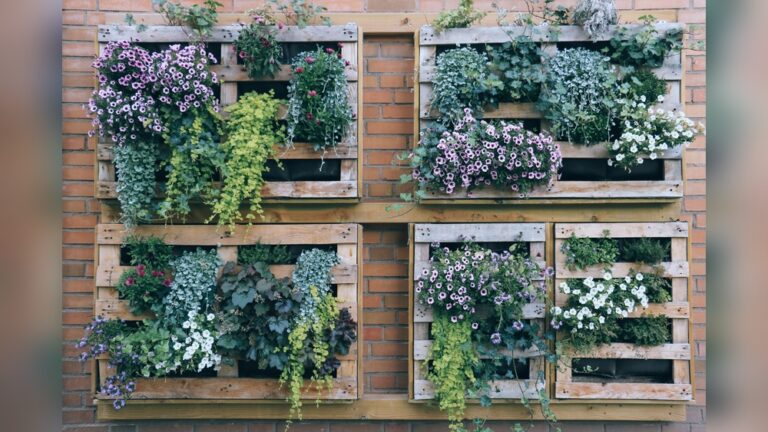 26 Climber Plants Ideas for Vertical Gardening in Small Spaces: Transform Your Tiny Garden