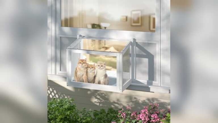 26 DIY Outdoor Cat Shelter Ideas: Cozy, Creative & Budget-Friendly