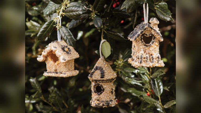 28 Small Clay Projects Ideas for Playful Pinch Pot Prowess: Ignite Creativity!